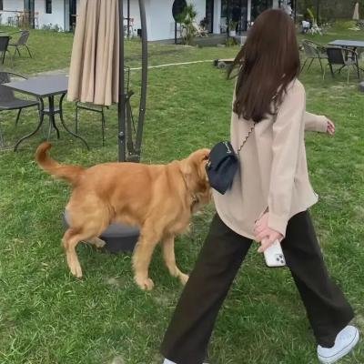 双枪李向阳