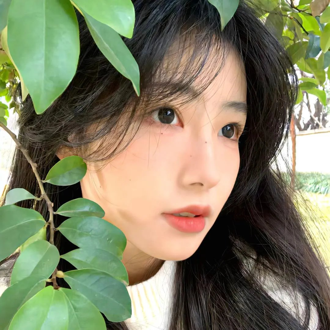 绿屋